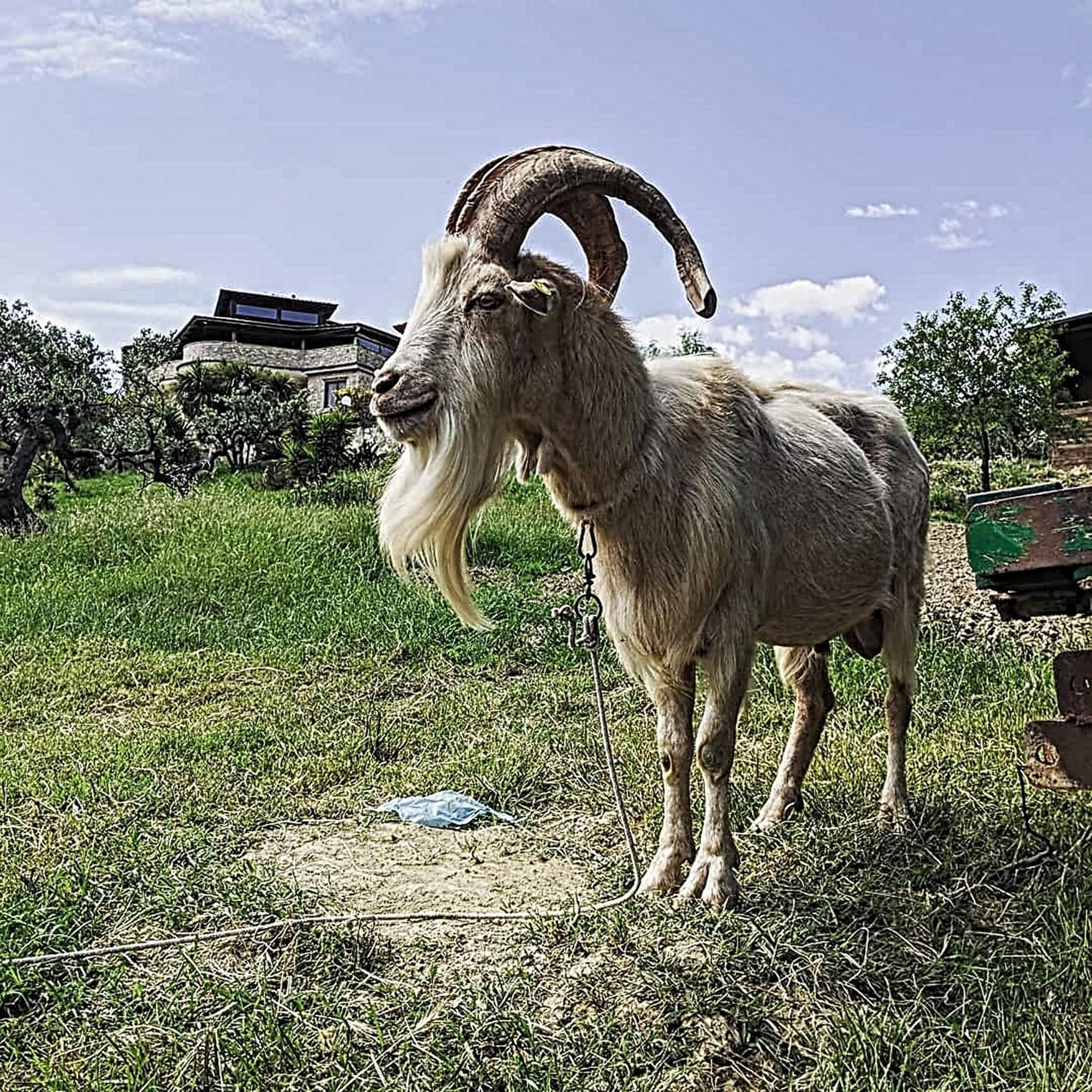 Agriturismo Il Tratturo B&B Vasto Εξωτερικό φωτογραφία